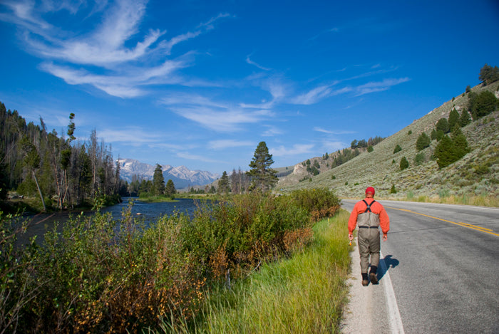 Not So Lonely Pool Anymore