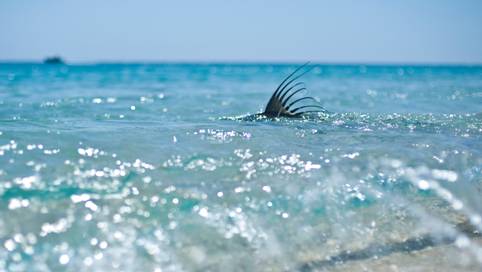 Getting Lost in Mexico