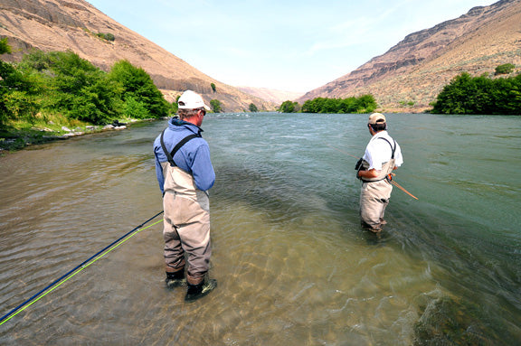 Thee Steelheads Cometh for You!