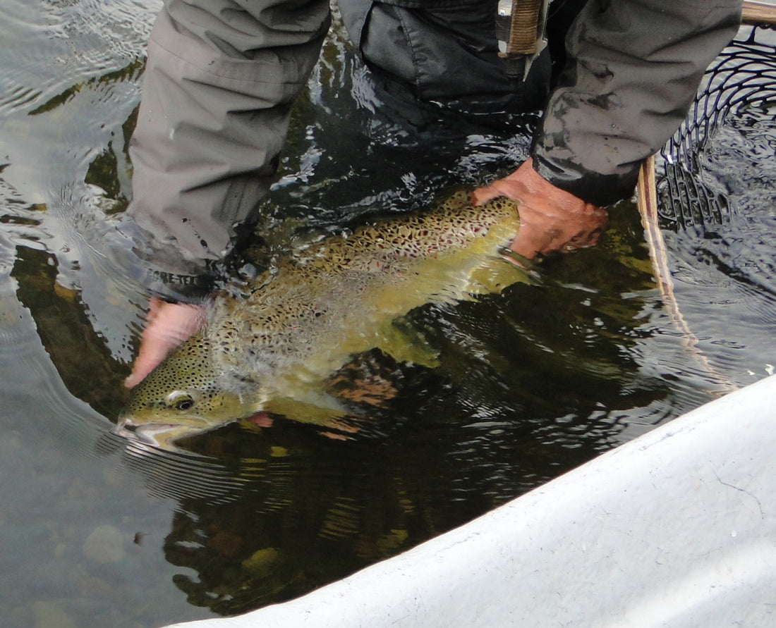 Missouri River Wallow-hogs