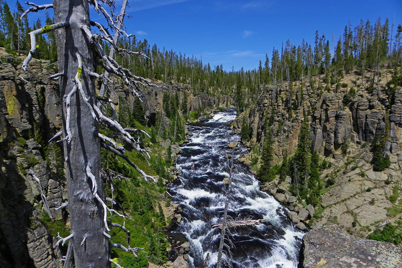 Angling Four Western States in Ten Days