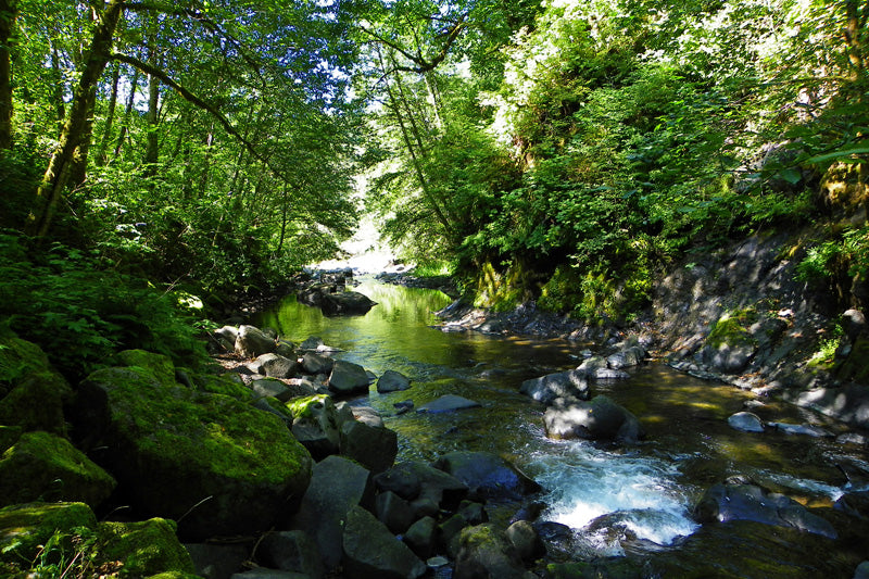 Brunch at Bible Creek