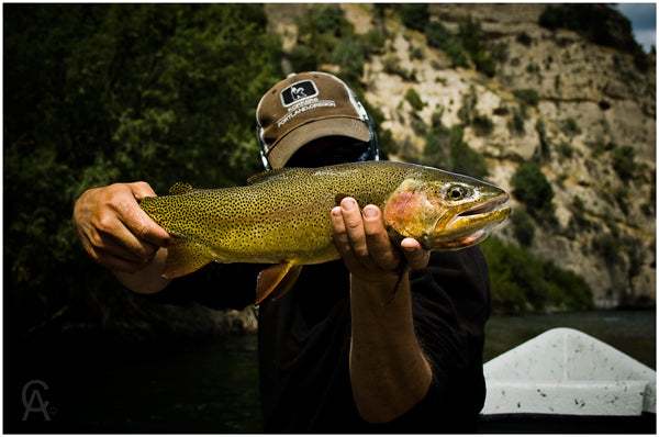 Featured Photographer: Bryan Gregson