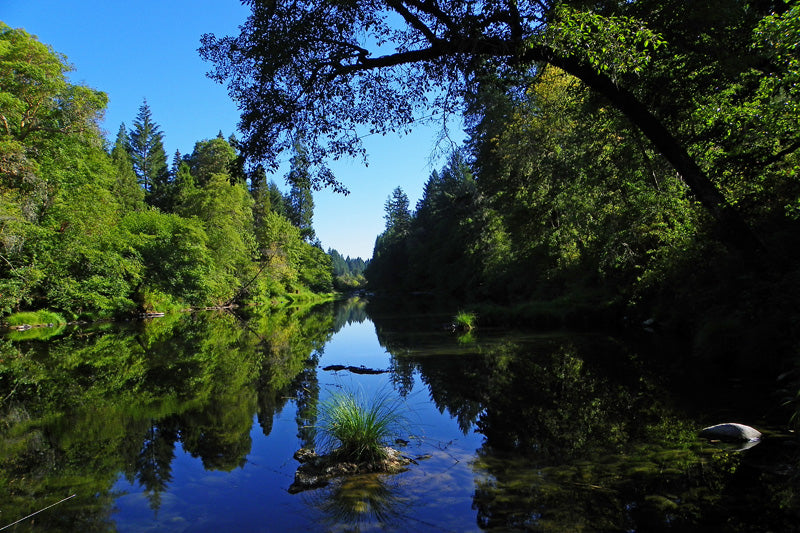 The Umpqua River