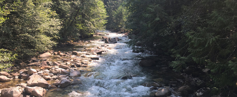 water, clean water, headwaters, stream, clean water rule