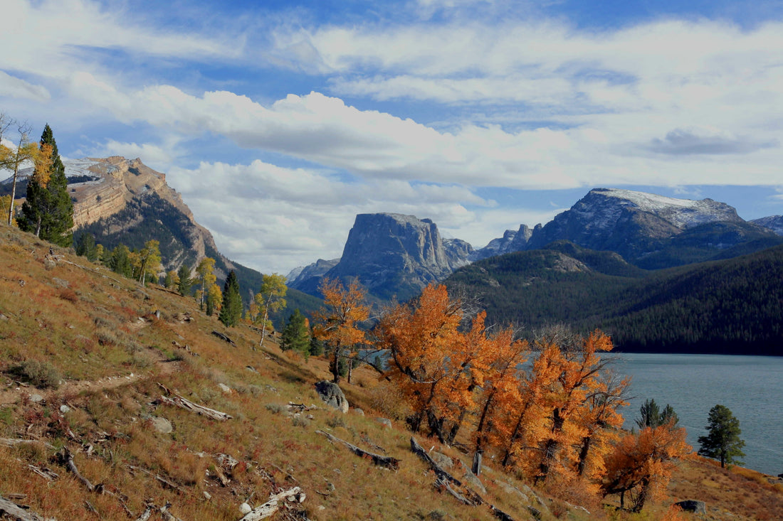 Wyoming Autumn