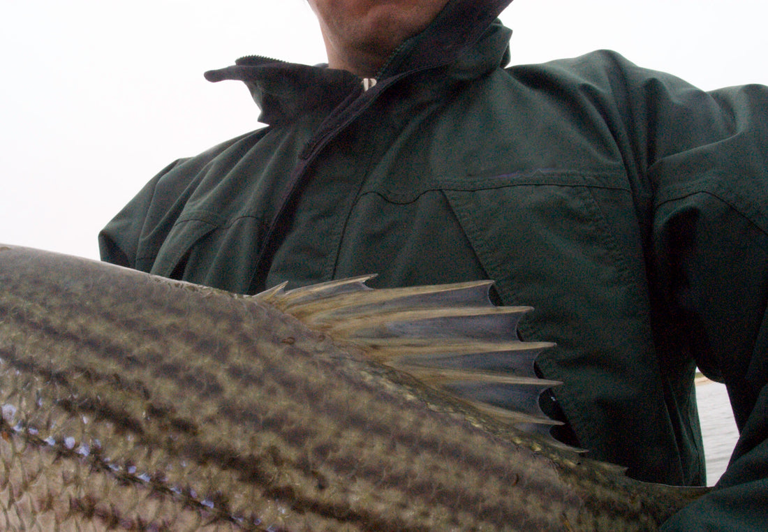 Surf & Inshore Fishing 2009