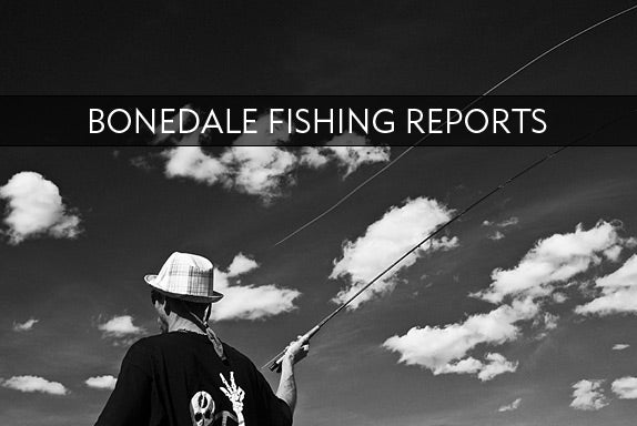 BONEDALE FISHING REPORT #27