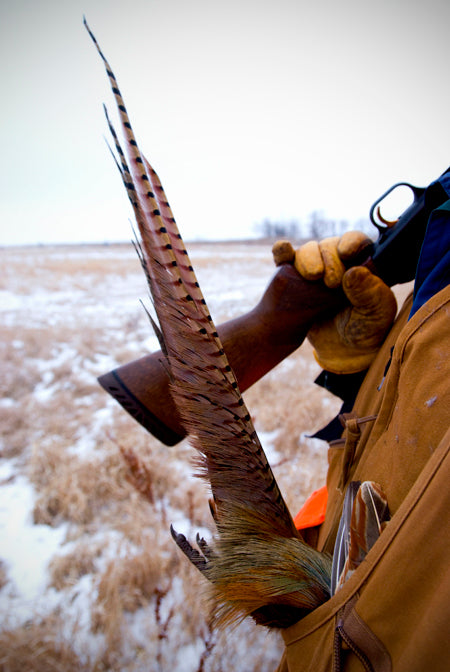 Fly-Tying and Scavenging