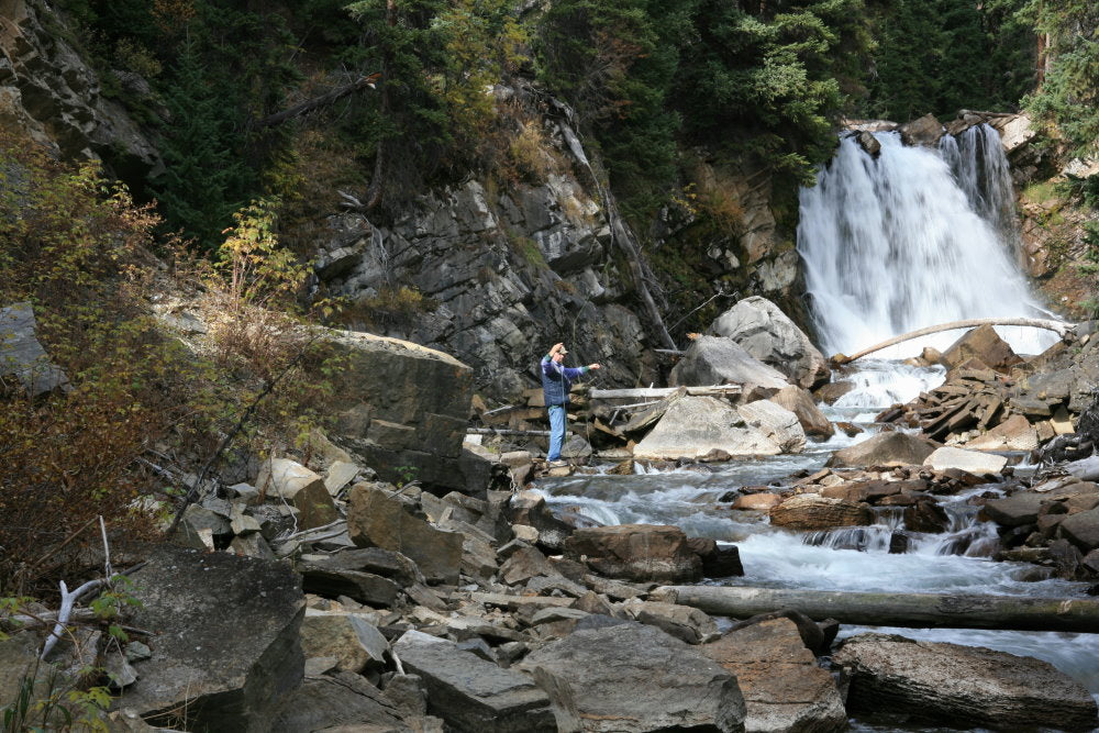 Adult Supervision Needed