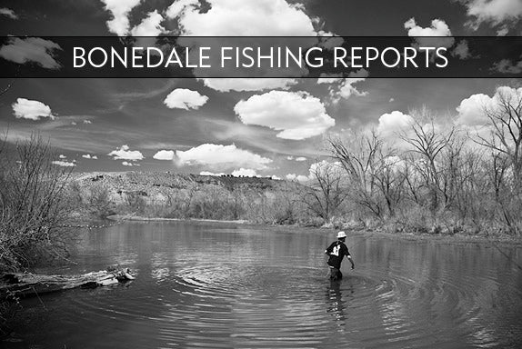 BONEDALE FISHING REPORT #27