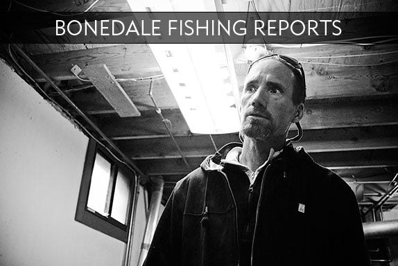 BONEDALE FISHING REPORT #4