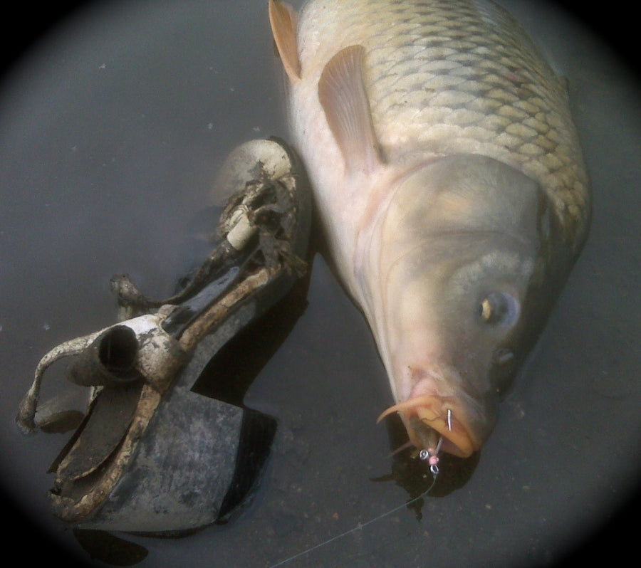 South Platte Cleanup