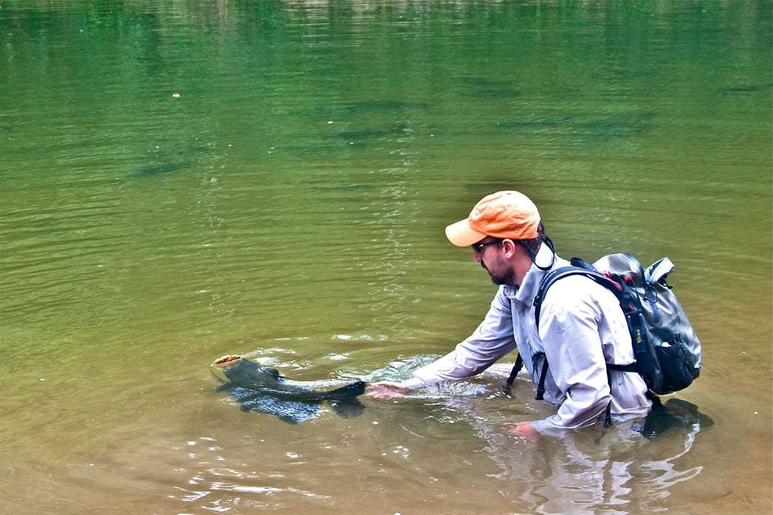 Lost Jewels From The Warm Waters Of The Amazon