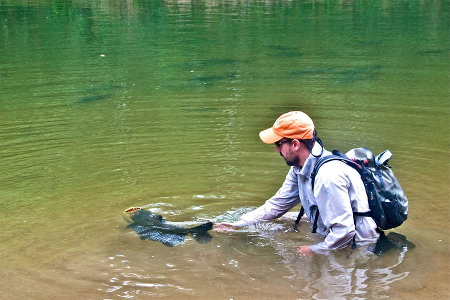 Lost Jewels From The Warm Waters Of The Amazon