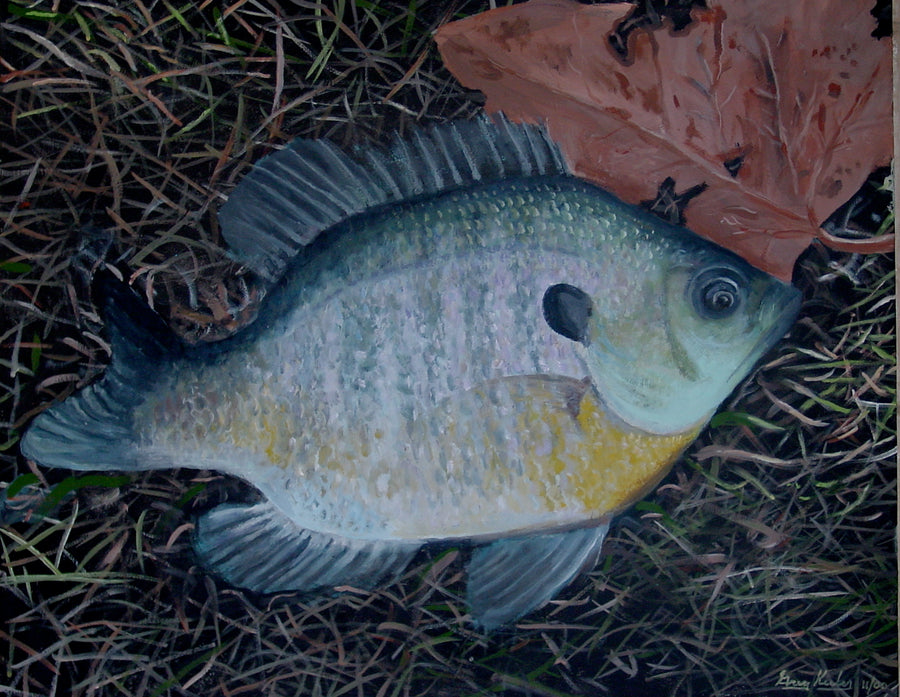 ALMOST TRASHY TOUR #2