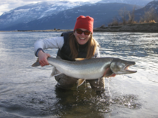 Frankenfish - Lurching Towards a Stream Near You?