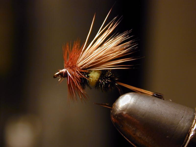 Belated Mother's Day Dispatch: Truite Au Bleu