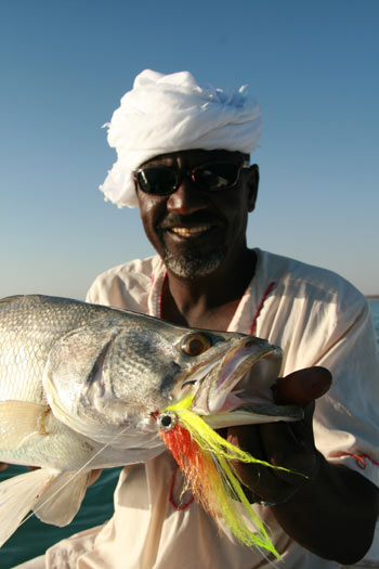 Cheap Flights to Cairo; Book your Nile Perch Trip Now!