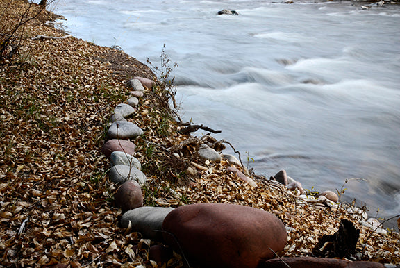 The World Smells like Honey