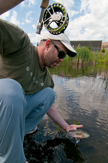 Loch Funny Feelings and the Legend of Brutusgill