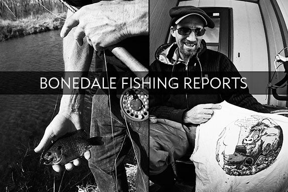BONEDALE FISHING REPORT #5
