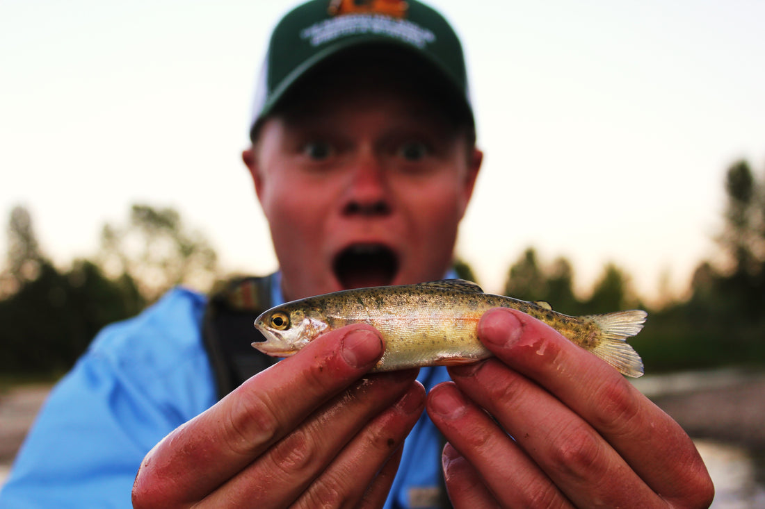 Smolt of the Month August 011