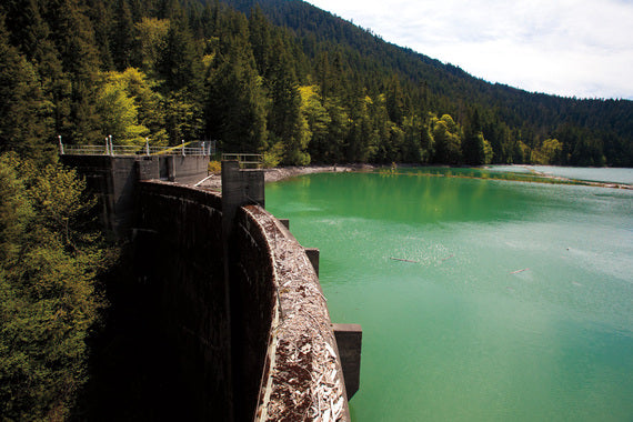 Elwha Dam removal; What about the wild fish?