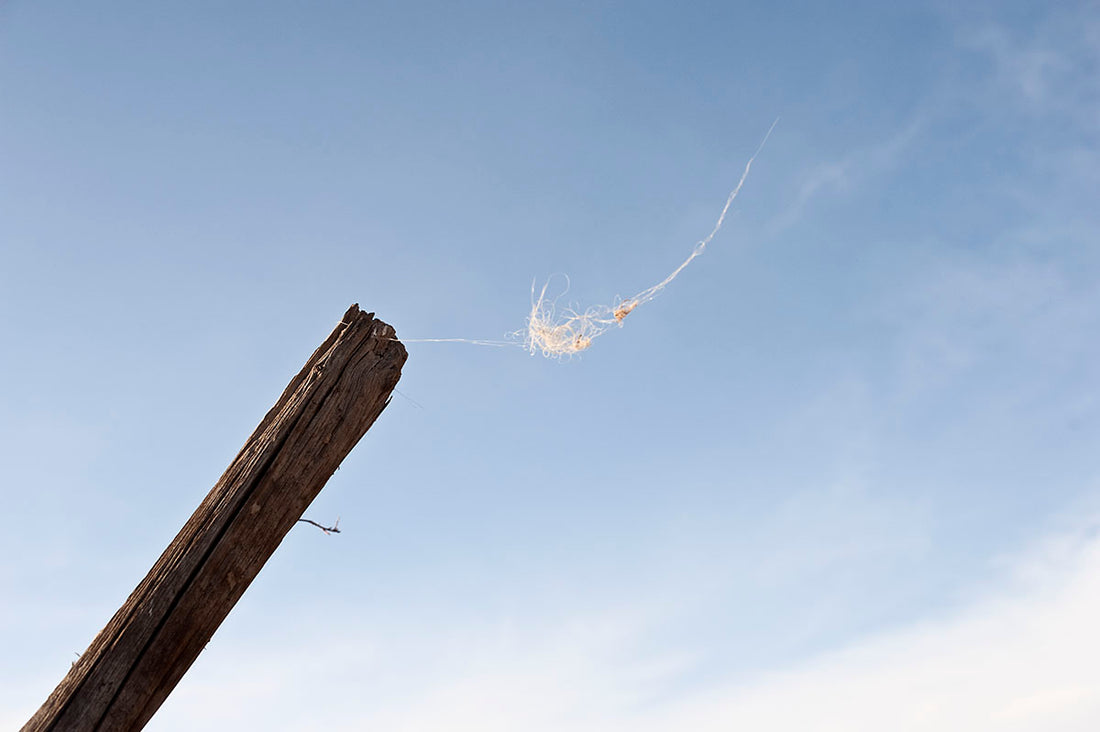 Everything Becomes A Chore