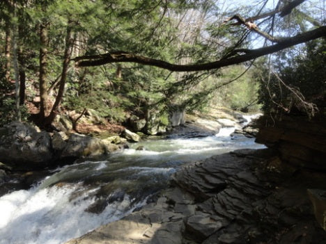 The Ben from Malibu to PA and Minor Brushes with the Law