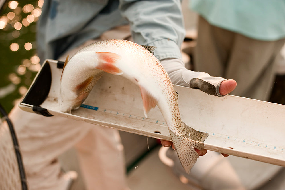 Casting for a Cure 012: Flogging for a Reason