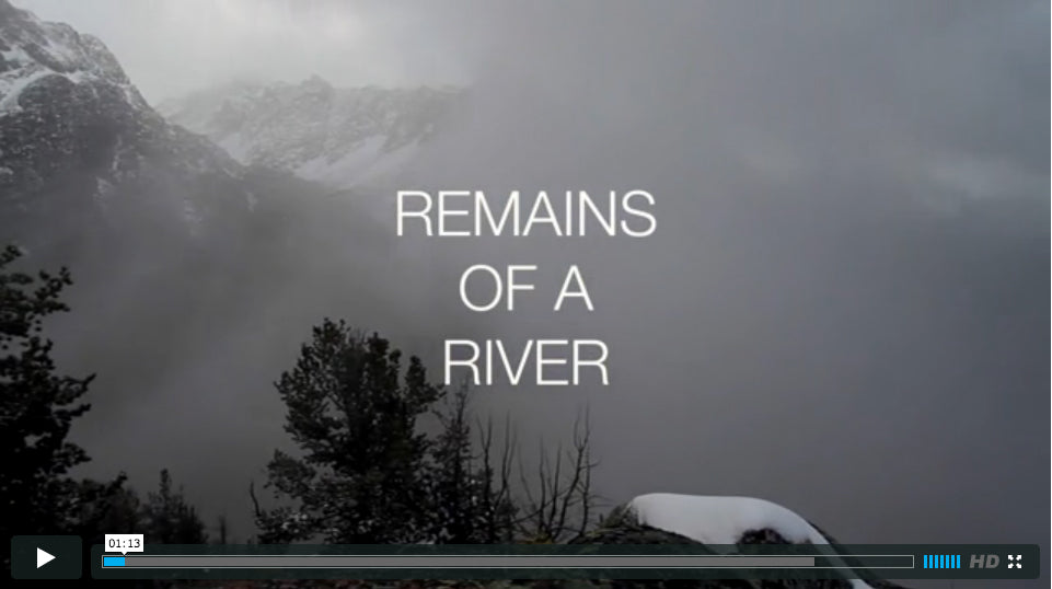 Remains Of A River