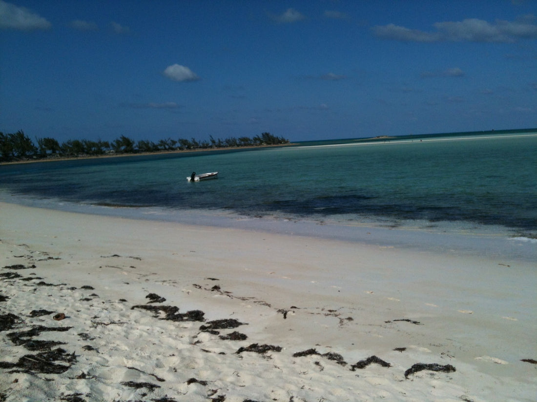 Bahamania Pt II: The Androsia Effect