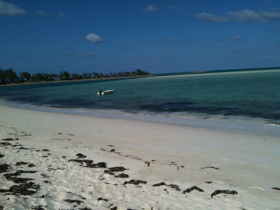 Bahamania Pt II: The Androsia Effect