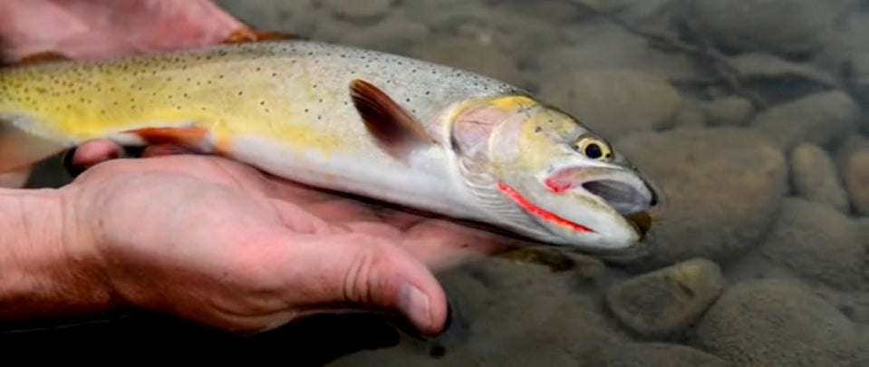 National Public Lands Day