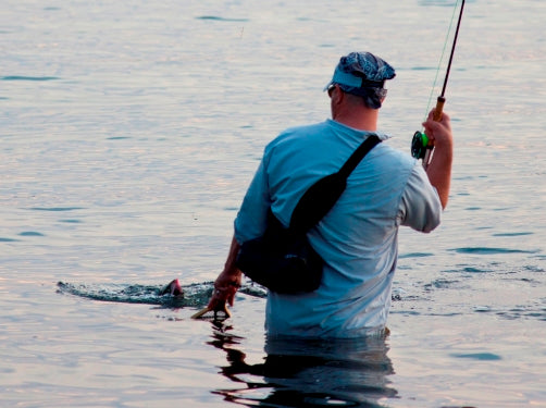 Surfing the Great Pink Wave