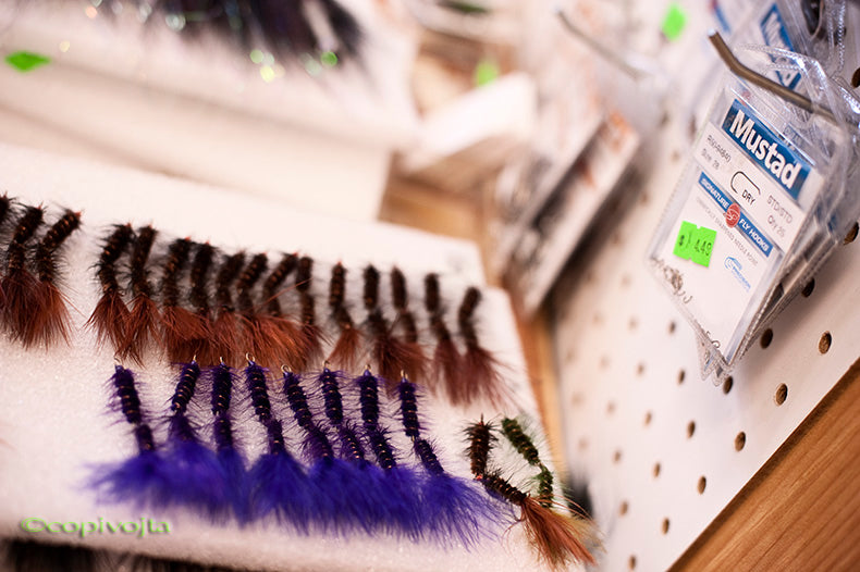 East Coast Main Lymelight