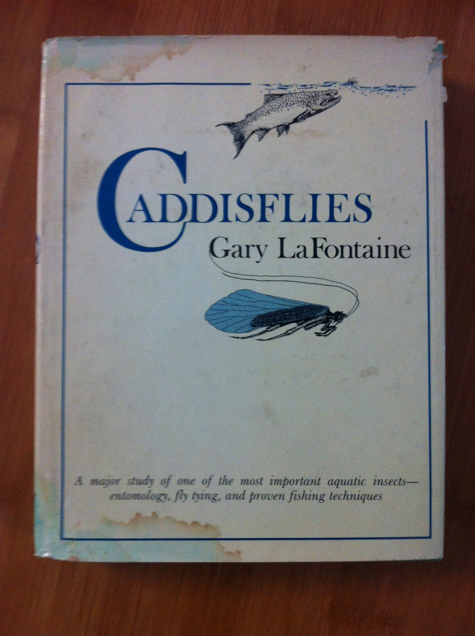 Caddis Caddis Caddis