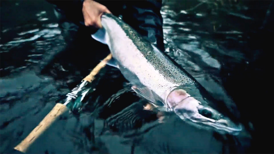 Wild Fish Works: Oregon Coast