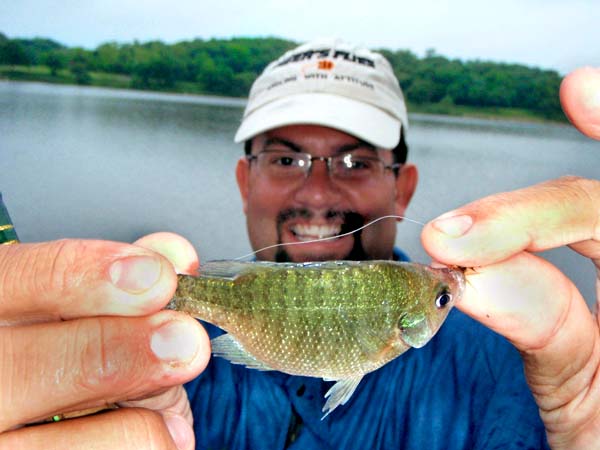 Smolt of the Month Entries