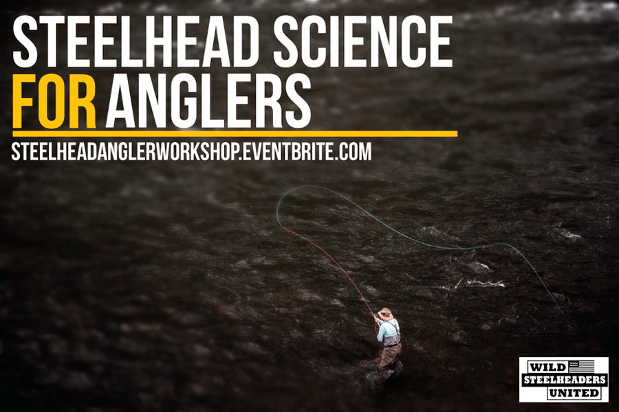 Steelhead Science For Anglers