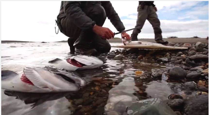 Lost Boys of Yantarni - Exclusive Edit