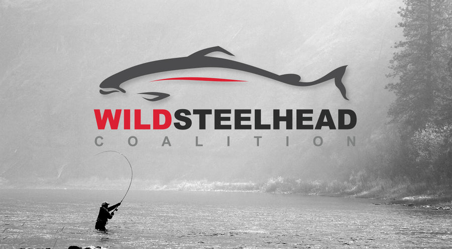 Steelhead Summit Alliance