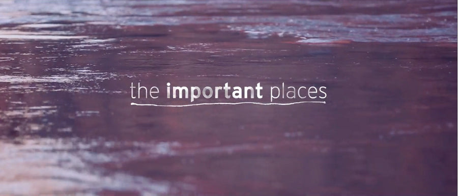 The Important Places