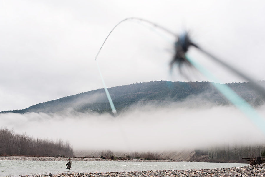 WDFW Extends Comment Period for Puget Sound wild stock gene banks
