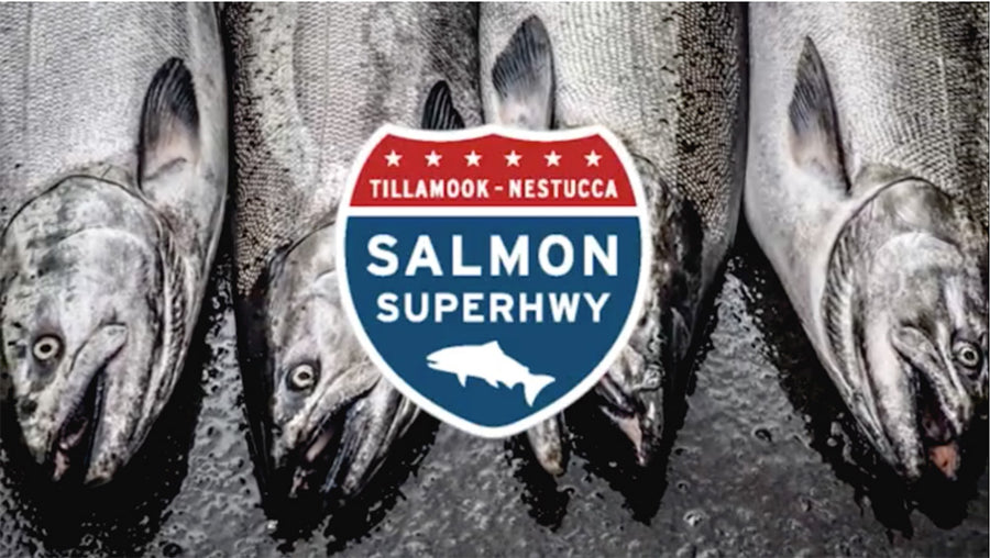 Salmon Superhwy
