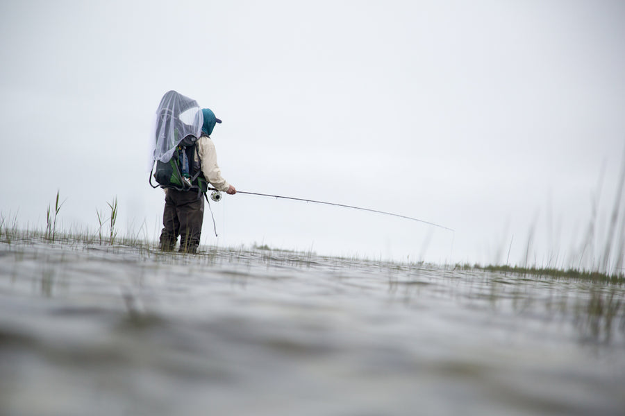 Raising Gus Nine Months