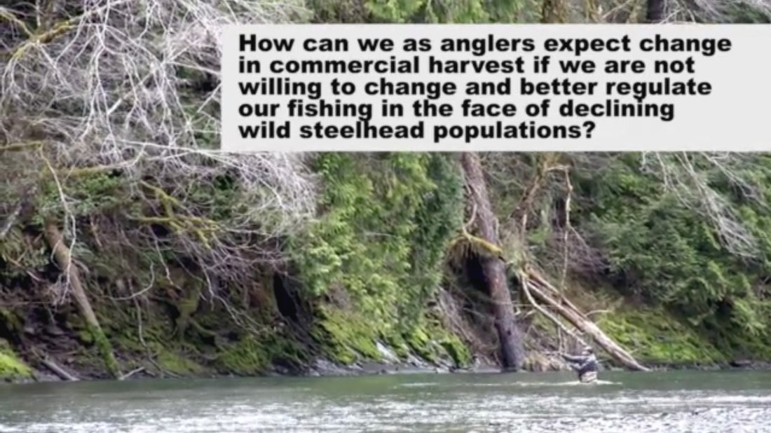 Olympic Peninsula Wild Steelhead Action Alert