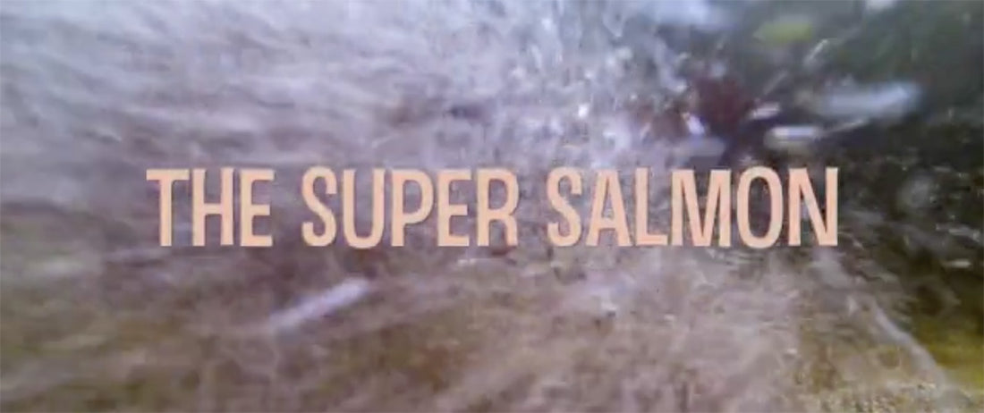 The Super Salmon