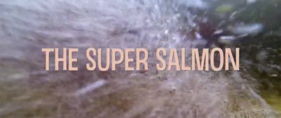 The Super Salmon